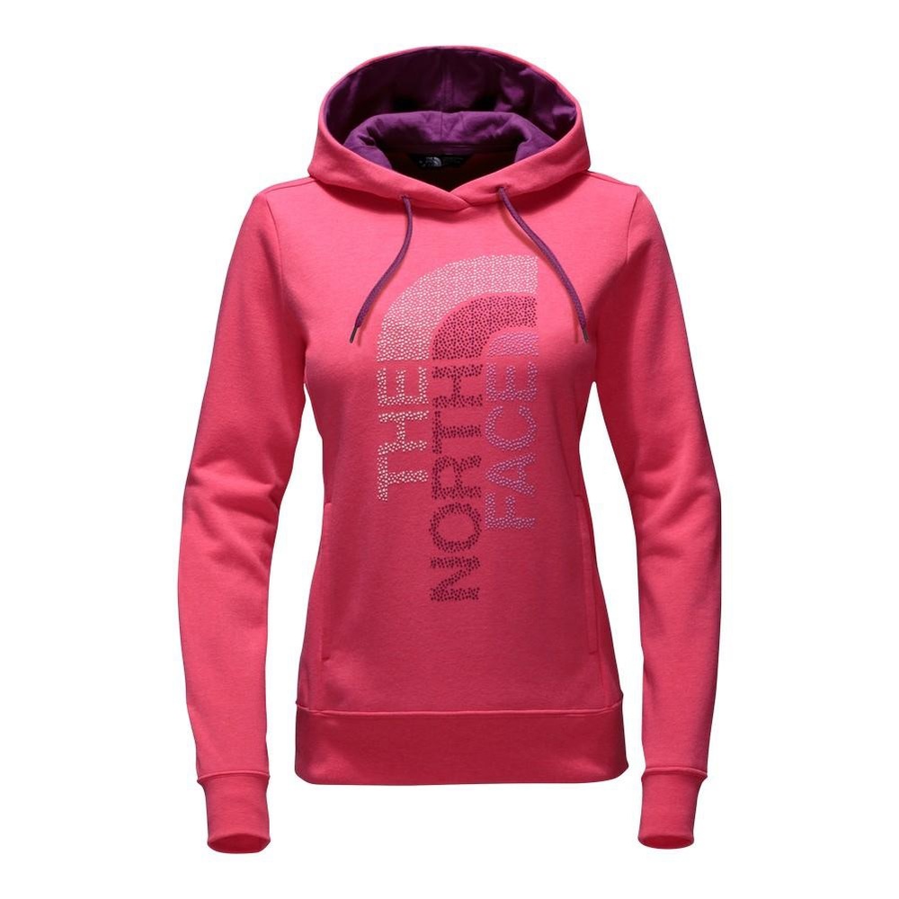 🏂north face hoodie🏂
